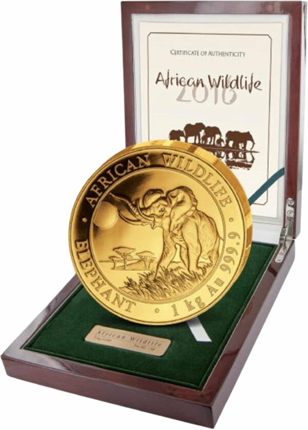 1kg Goldmünze Somalia Elefant 2016 PP (Auflage: 20 Münzen)