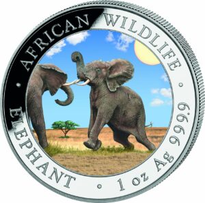 1 Unze Silber Somalia Elefant 2024 Tag Design (Auflage: 5.000 | coloriert)