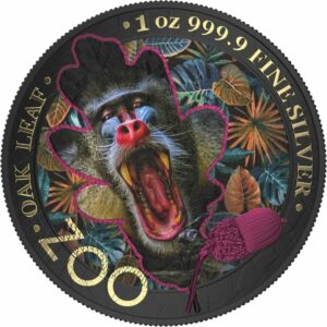 1 Unze Silber Zoo Mandrill 2019 (Auflage: 100 | gildet | coloriert)