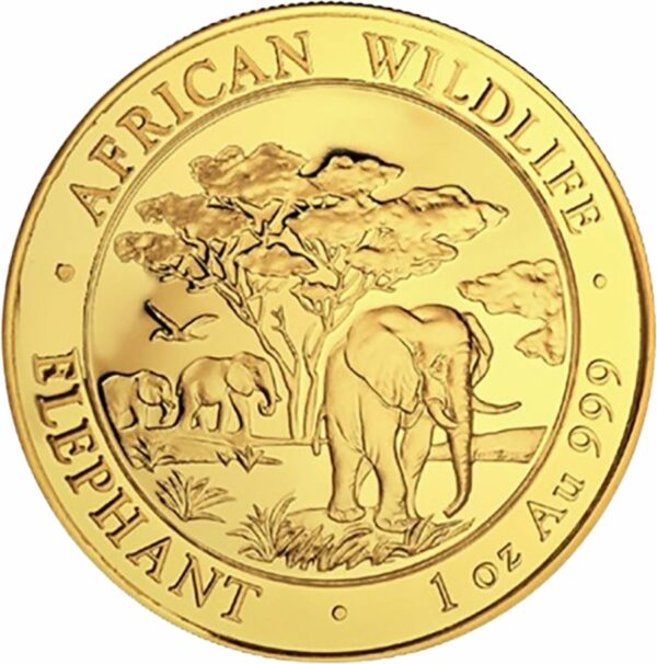 1 Unze Gold Somalia Elefant 2012