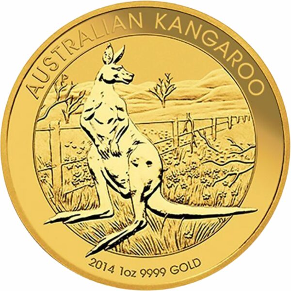 10 x 1 Unze Gold Nugget Känguru 2014