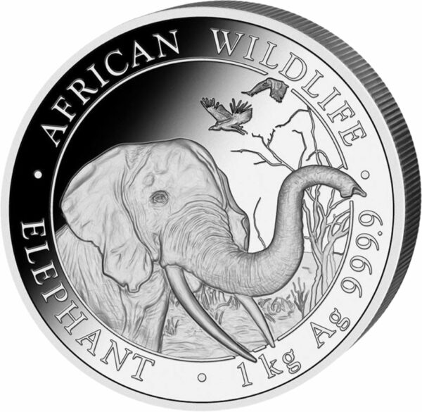 1 kg Silber Somalia Elefant 2018