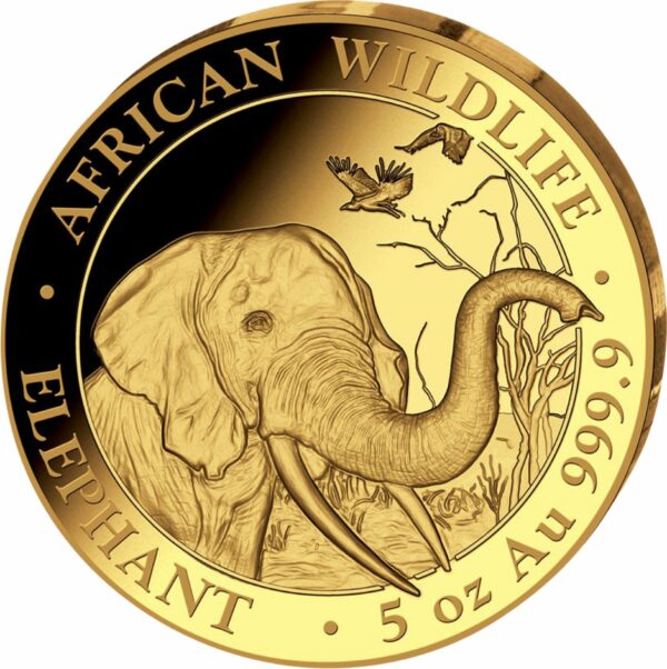 5 Unze Gold Somalia Elefant 2018 PP (Auflage: 50 Münzen)