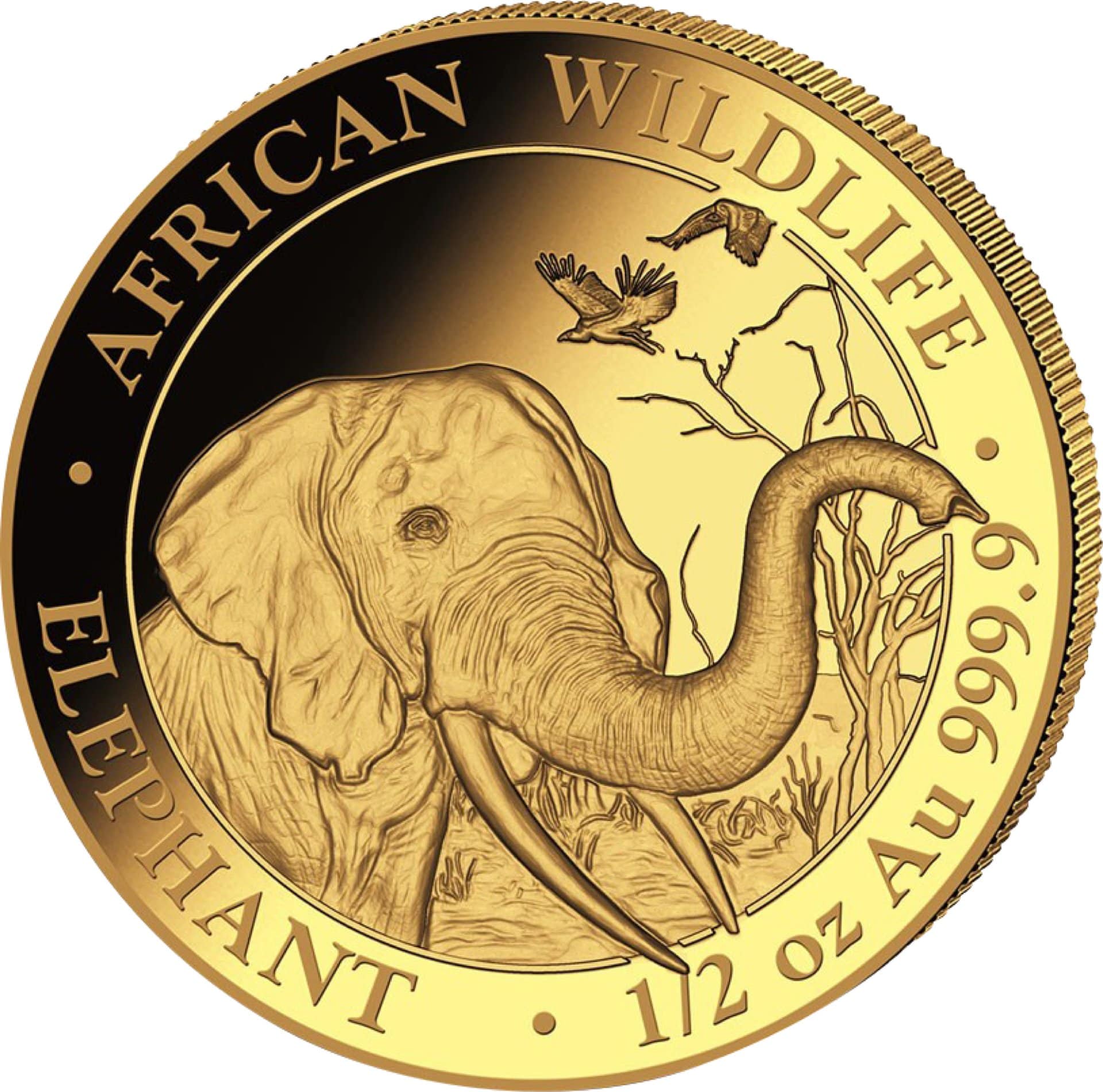 1/2 Unze Gold Somalia Elefant 2018