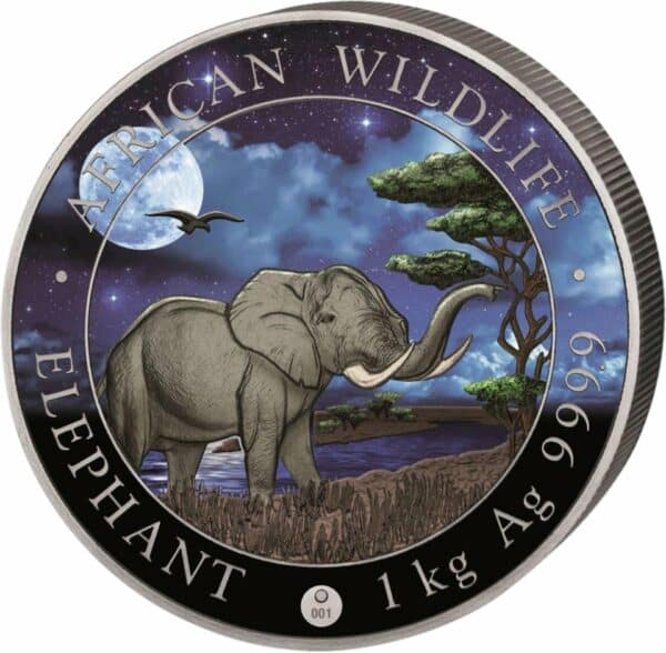 1kg Silber Somalia Elefant 2019 Limited Night Edition (Auflage: 100 Münzen)