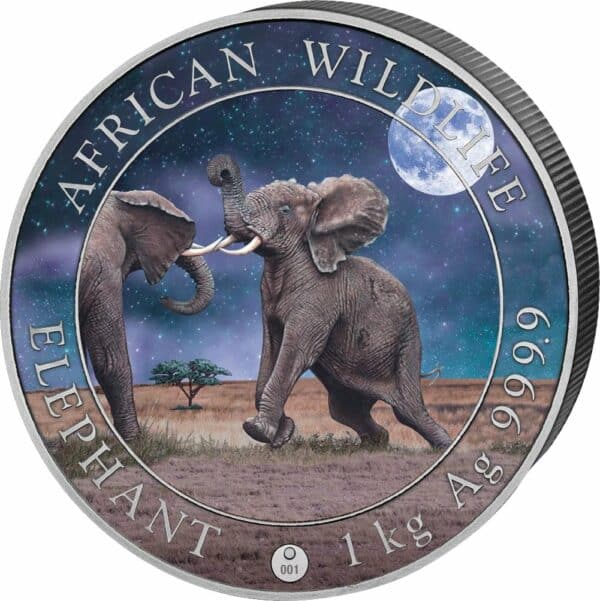 1kg Silber Somalia Elefant 2024 Giant Moon (Auflage: 100 | coloriert)