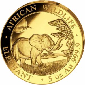 5 Unze Gold Somalia Elefant 2019 PP (Auflage: 50 Münzen)