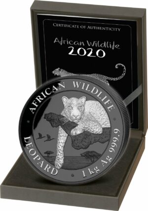 1kg Silber African Wildlife Leopard 2020 Black Edition (Auflage:100 | platiniert)