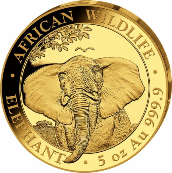 5 Unze Gold Somalia Elefant 2021 PP (Auflage: 50 | Polierte Platte)