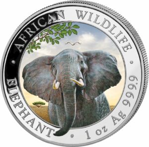 1 Unze Silber Somalia Elefant 2021 Tag Design (Auflage: 5.000 | coloriert)