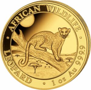 1 Unze Gold African Wildlife Somalia Leopard 2021 (Auflage: 1.000)