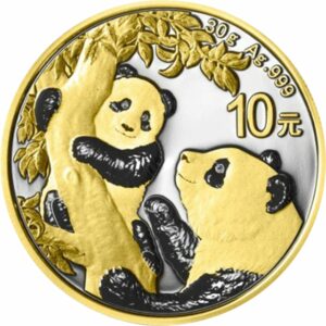 30g Silber China Panda 2021 (Auflage:100 | beidseitig vergoldet)