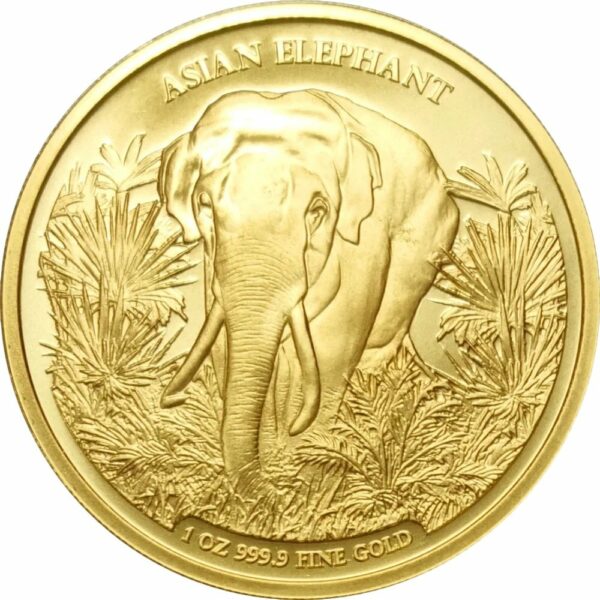 1 Unze Gold Kambodscha Asien Big Five Elefant 2023 (Auflage: 100)