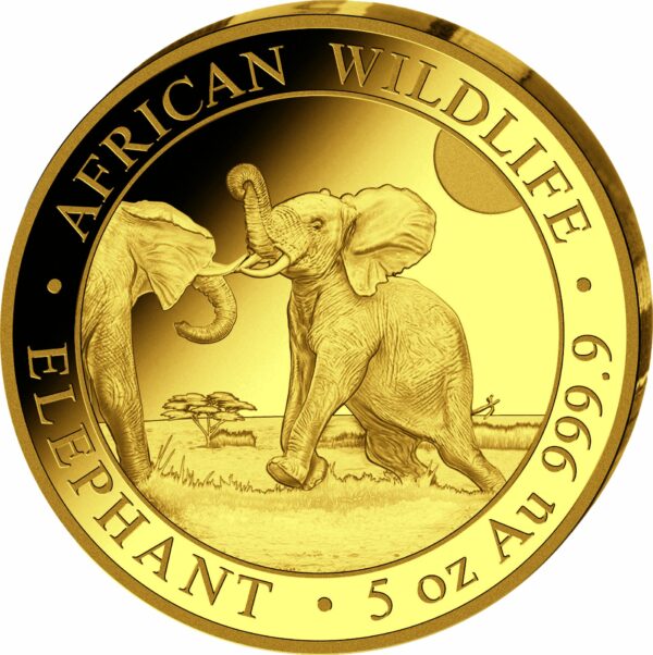 5 Unze Gold Somalia Elefant 2024 PP (Auflage: 50 | Polierte Platte)