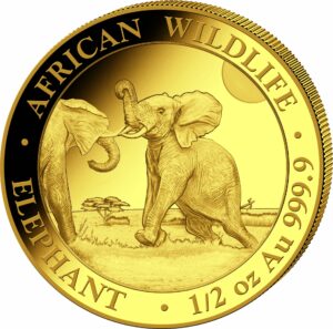 1/2 Unze Gold Somalia Elefant 2024