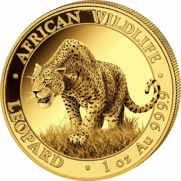 1 Unze Gold African Wildlife Somalia Leopard 2023 (Auflage: 1.000)