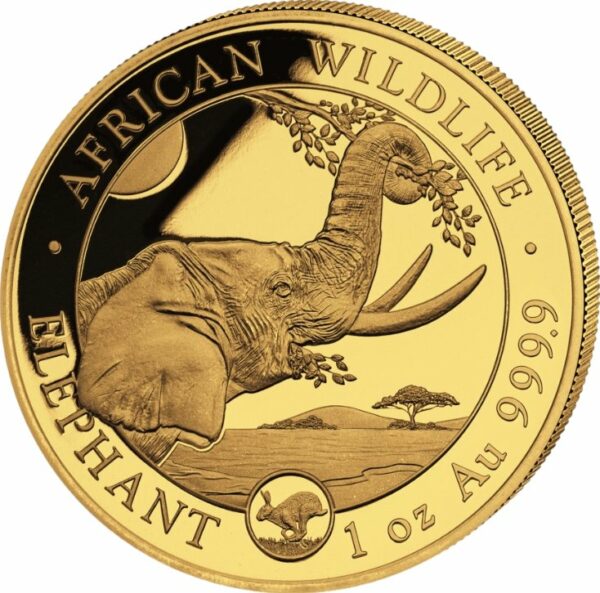 1 Unze Gold Somalia Elefant 2023 PM Hase (Auflage: 100 | Privymark)