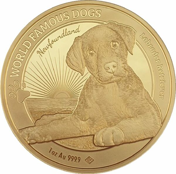 1 Unze Gold World Famous Dogs Labrador 2023 (Auflage: 1.000 Stück)